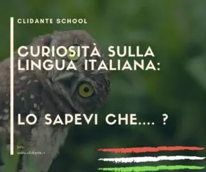 Articolo Blog curiosità sulla lingua italiana