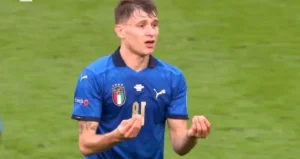 Notions of Italian Culture: The Art of Italian Hand Gestures